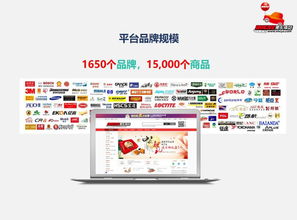 B2B電商驅動下汽車后服務市場的未來形態 大數據服務的核心角色
